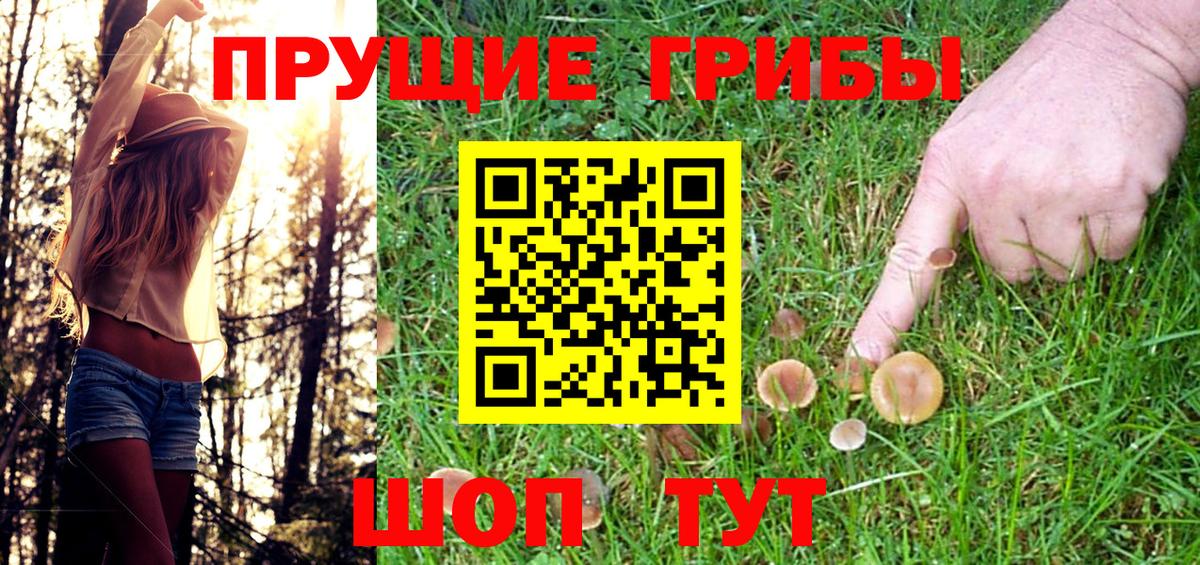 Псилоцибиновые грибы Magic Shrooms Новокубанск