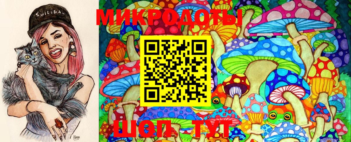 Псилоцибиновые грибы MAGIC MUSHROOMS  где купить наркотик  Псилоцибиновые грибы Cubensis  Новокубанск  Вход с VPN 